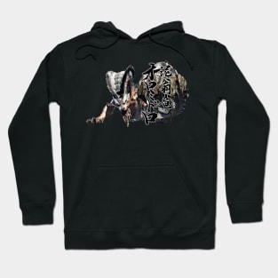 Almudron "The Elderly Mud Wyvern" Hoodie